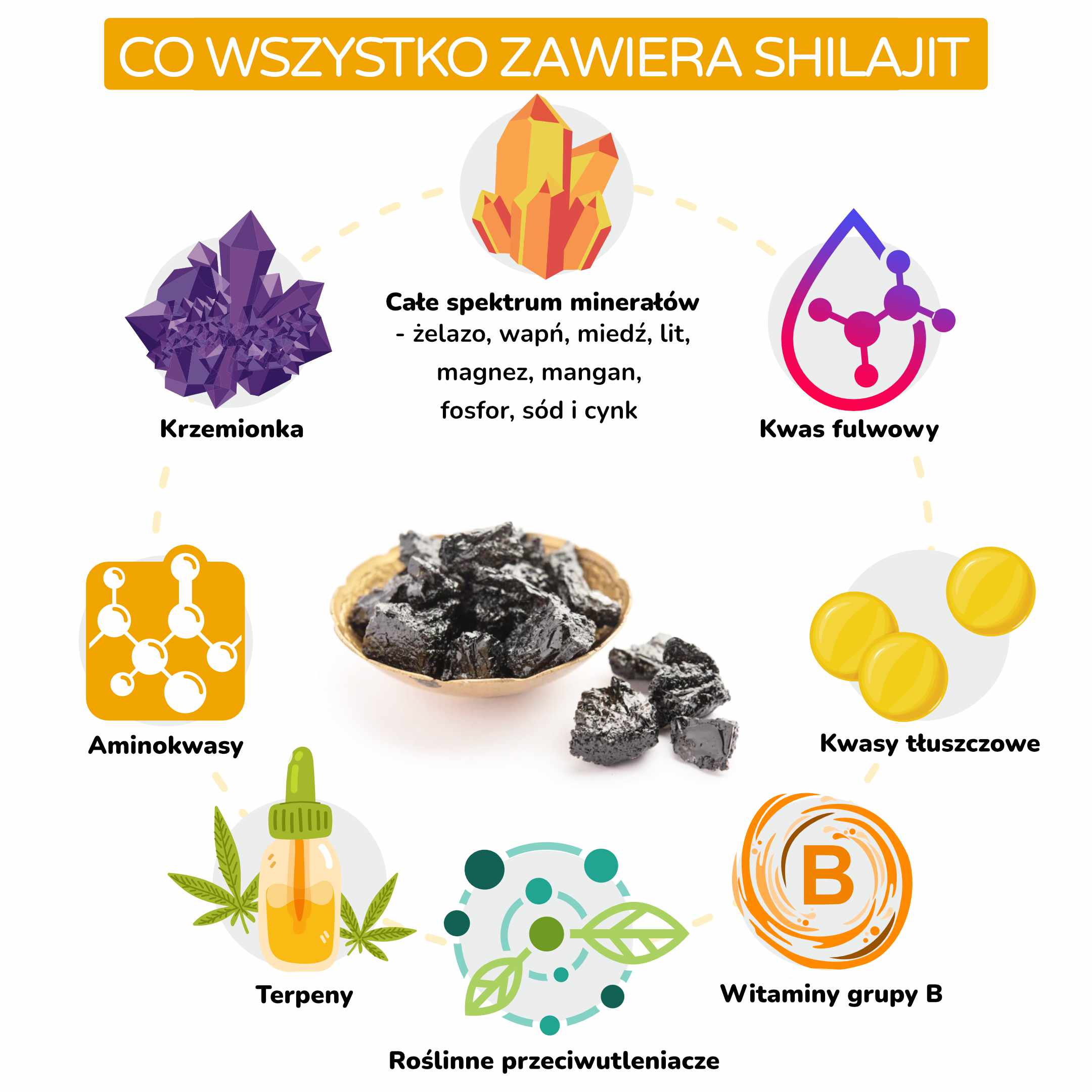 Co vše Shilajit obsahuje__inforgafika_pl